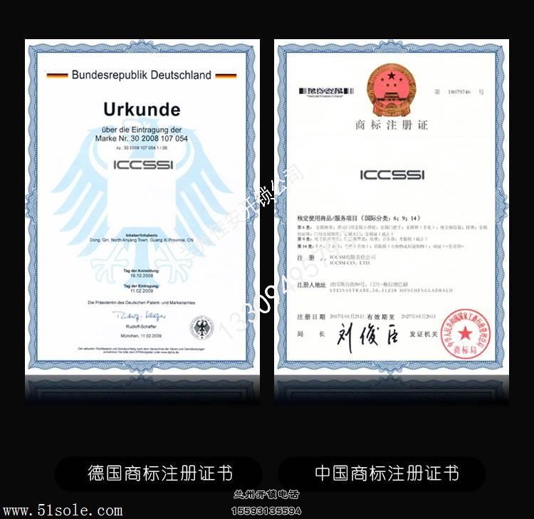 艾栖指纹密码锁DL700