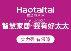 好太太H1密码锁智防盗门密码门锁